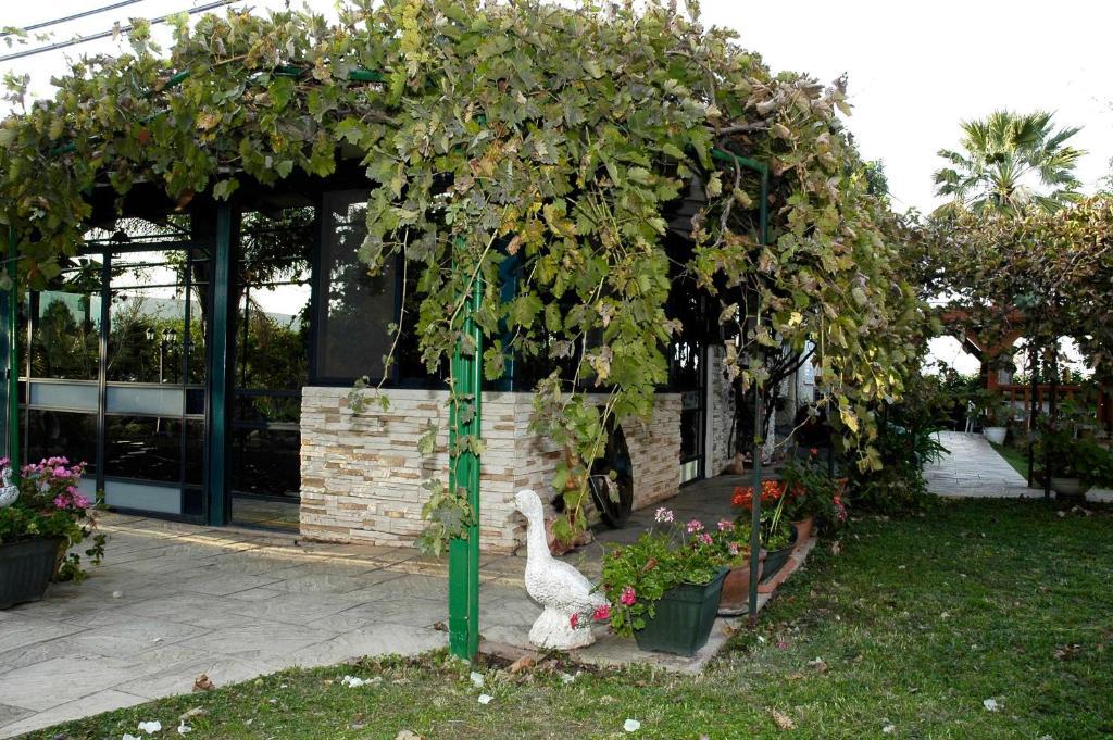 Arbel Guest House Shavit Family Dış mekan fotoğraf